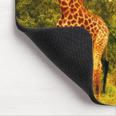 Südafrikanische Giraffen Mousepad (Ecke)