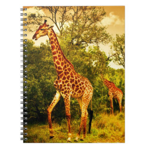 Südafrikanische Giraffen Notizblock