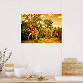 Südafrikanische Giraffen Poster (Küche)