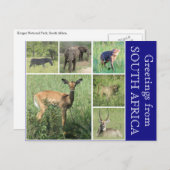 Südafrikanische Grüße Postkarte (Vorne/Hinten)