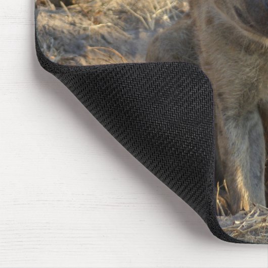 Südafrikanische Hyäne Mousepad (Ecke)
