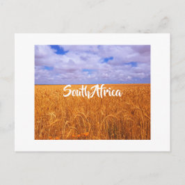 Südafrikanische Landschaft Weizenfelder Postcar Postkarte