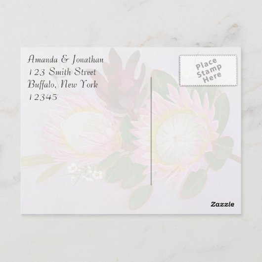 Südafrikanische Proteas Vielen Dank Postkarte (Rückseite)