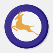 Südafrikanische Roundel Magnet (Vorne)
