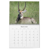 Südafrikanische Safari 2026 Kalender (Mär 2026)