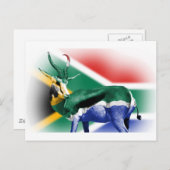 Südafrikanische Springbock-Flagge Postkarte (Vorne/Hinten)