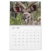 Südafrikanische Tiere Kalender (Mär 2026)