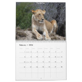Südafrikanische Tiere Kalender (Feb 2026)