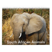 Südafrikanische Tiere Kalender (Titelbild)