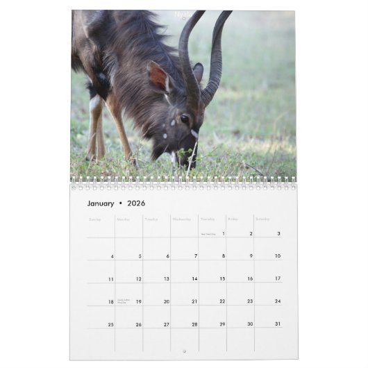 Südafrikanische Tiere Kalender (Jan 2026)