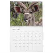 Südafrikanische Tiere Kalender (Mär 2027)