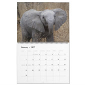 Südafrikanische Wildtiere Kalender (Feb 2027)