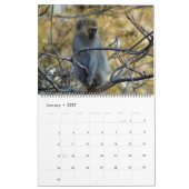 Südafrikanische Wildtiere Kalender (Jan 2027)