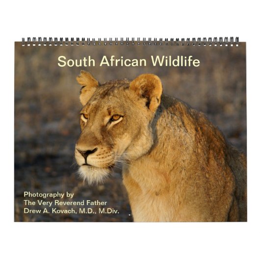 Südafrikanische Wildtiere Kalender (Titelbild)