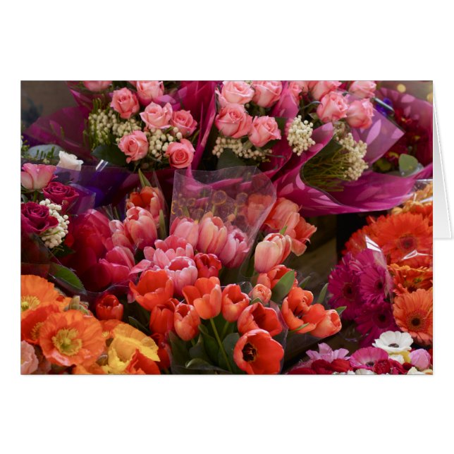 Südafrikanischer Blume (Vorderseite (Horizontal))