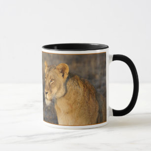 Südafrikanischer Löwe Tasse