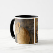 Südafrikanischer Löwe Tasse (Vorderseite Links)