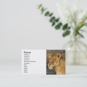 Südafrikanischer Löwe Visitenkarte (Stehend Vorderseite)