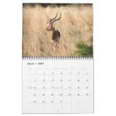 Südafrikanischer Safari-Kalender Kalender (Mär 2027)
