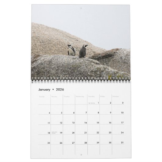 Südafrikanischer Safari-Kalender Kalender (Jan 2026)