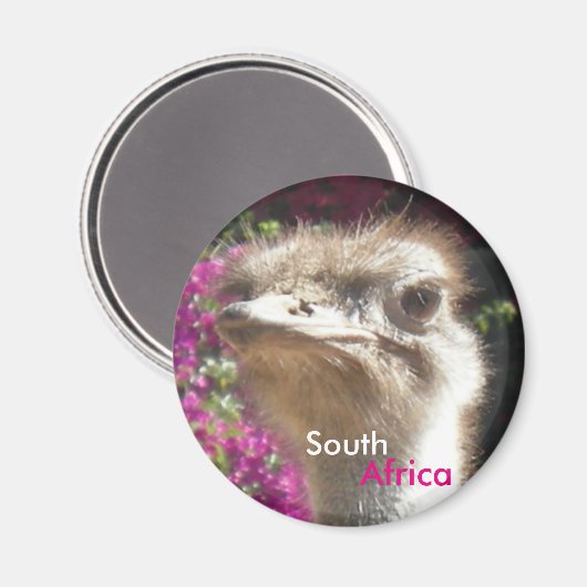 Südafrikanischer Straußenmagnet Magnet (Vorderseite/Rückseite)