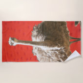 Südafrikanischer Straußenstrand Strandtuch (Vorderseite)