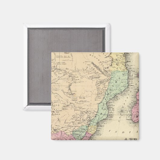 Südafrikanisches Blatt Magnet (Vorderseite/Rückseite)