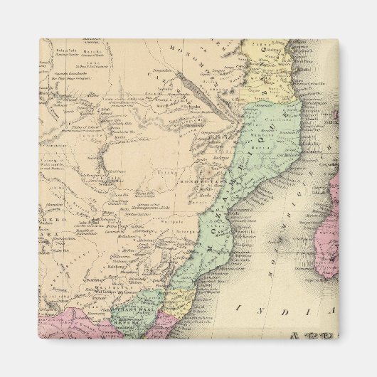 Südafrikanisches Blatt Magnet (Vorne)