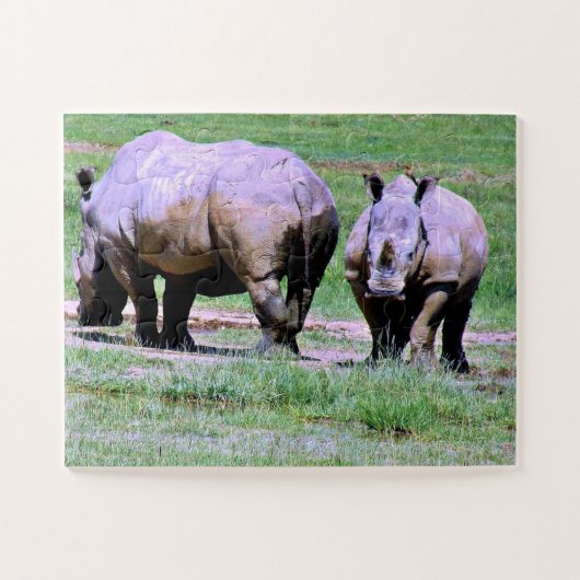 Südafrikanisches Rhinos Puzzle (Horizontal)