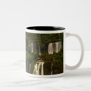 Südamerika, Argentinien, Brasilien, Igwacu-Fälle, Zweifarbige Tasse
