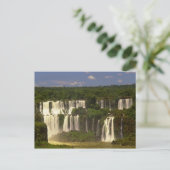Südamerika, Argentinien, Brasilien, Igwacu Falls Postkarte (Stehend Vorderseite)