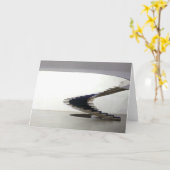 Südamerika, Brasilien, Brasilia.Innenseite Karte (Gelbe Blume)