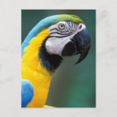 Südamerika, Brasilien, Iguacu Nationalpark, Postkarte (Vorderseite)