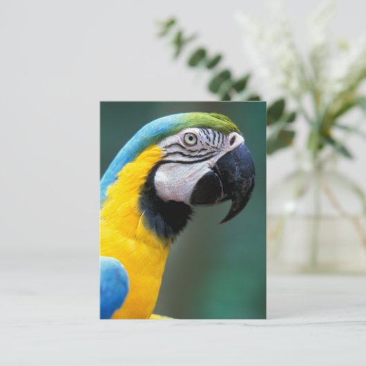 Südamerika, Brasilien, Iguacu Nationalpark, Postkarte (Stehend Vorderseite)