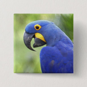 Südamerika, Brasilien, Pantanal Button