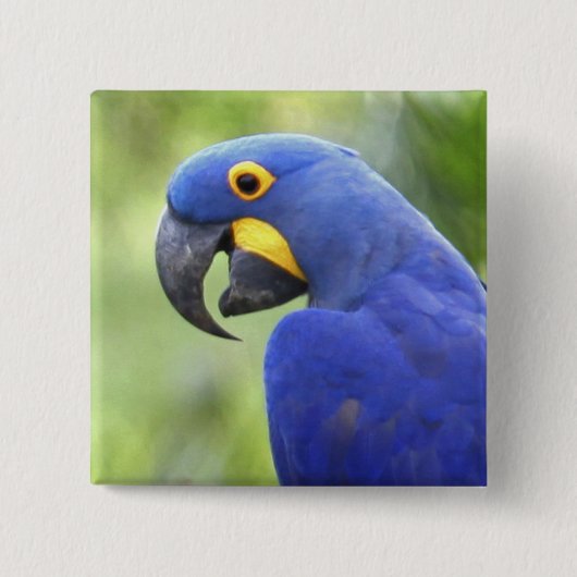 Südamerika, Brasilien, Pantanal Button (Vorderseite)