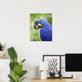 Südamerika, Brasilien, Pantanal Die gefährdeten Poster (Heimbüro)
