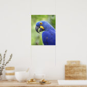 Südamerika, Brasilien, Pantanal Die gefährdeten Poster (Küche)