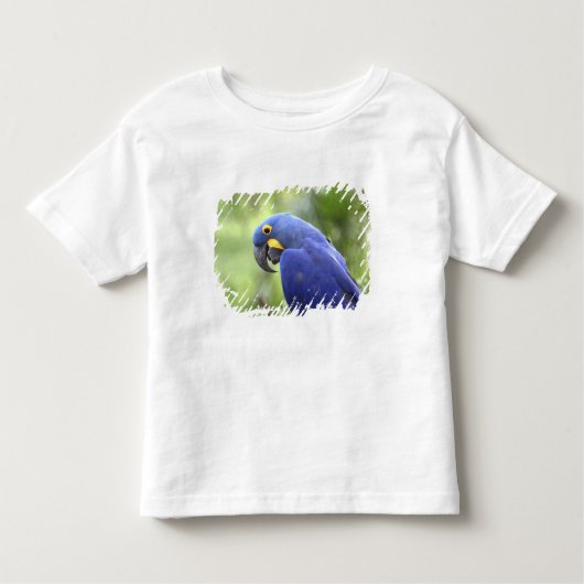 Südamerika, Brasilien, Pantanal Kleinkind T-shirt (Vorderseite)