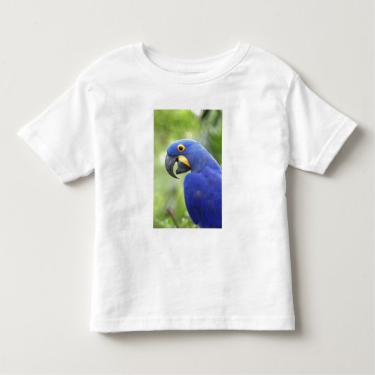 Südamerika, Brasilien, Pantanal Kleinkind T-shirt (Vorderseite)