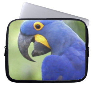 Südamerika, Brasilien, Pantanal Laptopschutzhülle