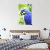 Südamerika, Brasilien, Pantanal Leinwanddruck (Insitu (Schlafzimmer))