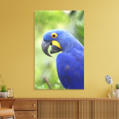 Südamerika, Brasilien, Pantanal Leinwanddruck (Insitu (Wohnzimmer))