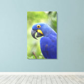 Südamerika, Brasilien, Pantanal Leinwanddruck (Insitu (Holzboden))