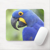 Südamerika, Brasilien, Pantanal Mousepad (Mit Mouse)