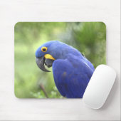 Südamerika, Brasilien, Pantanal Mousepad (Mit Mouse)
