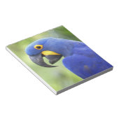 Südamerika, Brasilien, Pantanal Notizblock (angewinkelt)