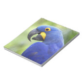 Südamerika, Brasilien, Pantanal Notizblock (Rotiert)