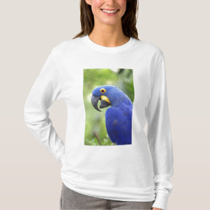 Südamerika, Brasilien, Pantanal T-Shirt