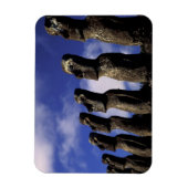 Südamerika, Chile, Osterinsel, Ahu Akiri. Magnet (Vertikal)